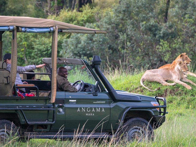 Angama Safari in Action - Legatto Lifestyle